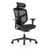 Project Enjoy Office Chair